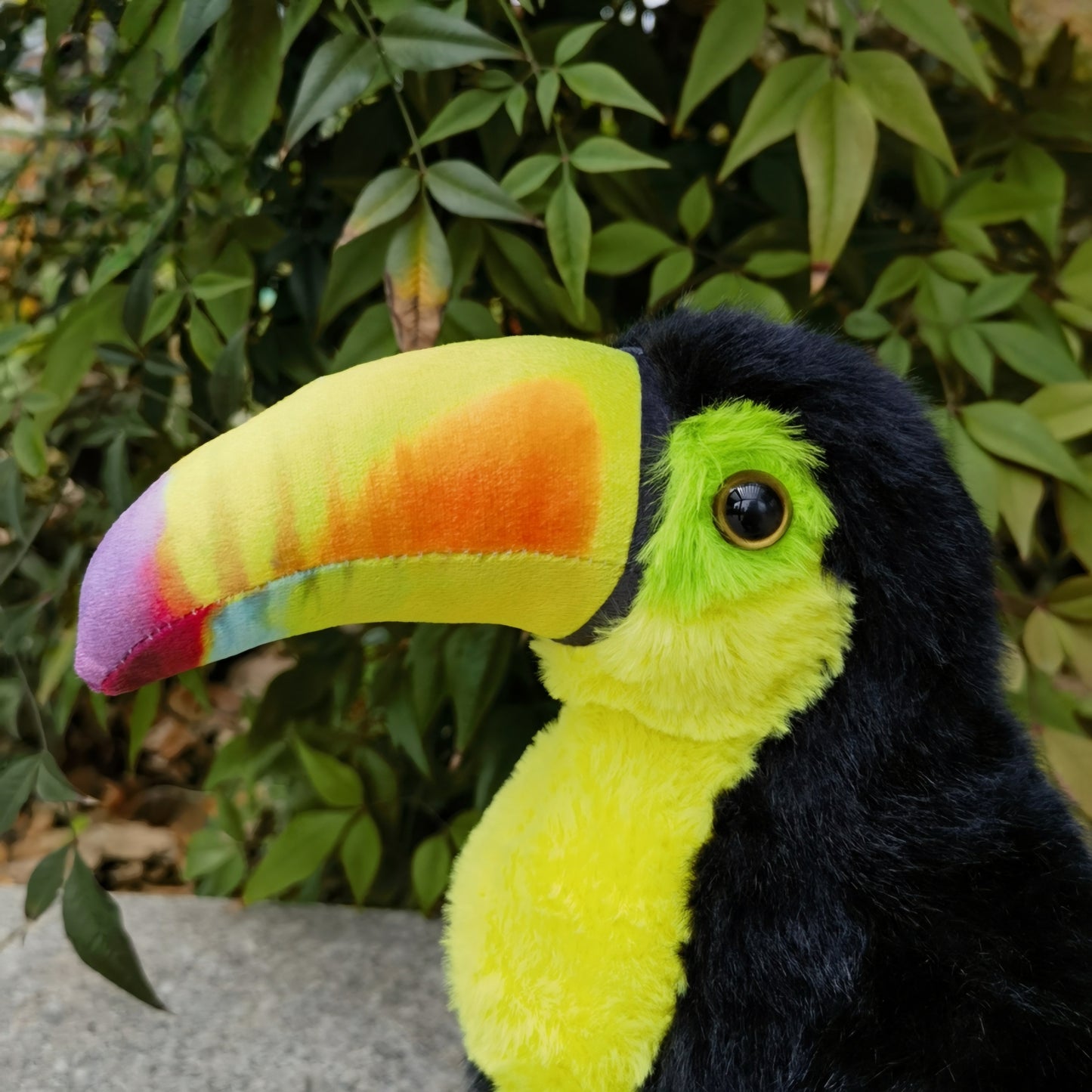 Realistic Toucan Plush