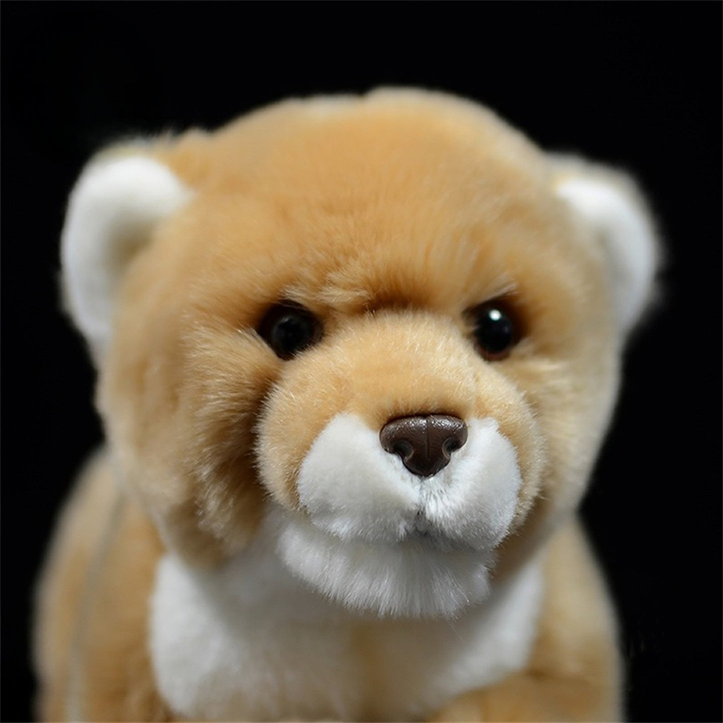 Realistic Lioness Plush