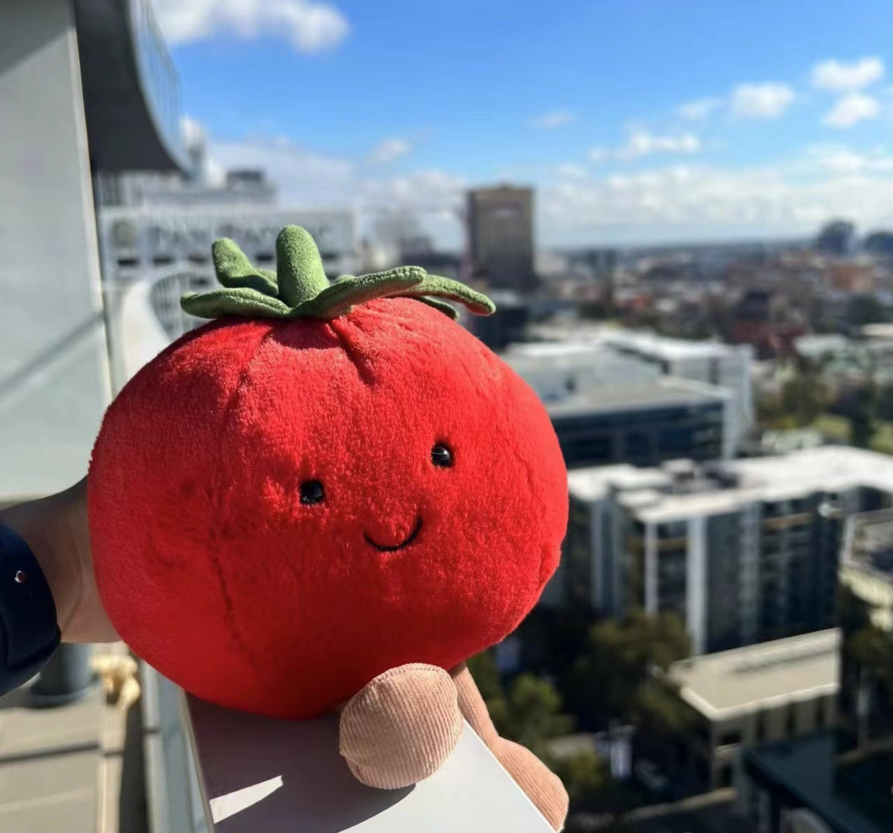 Cute Tomato Stuffed Plushie