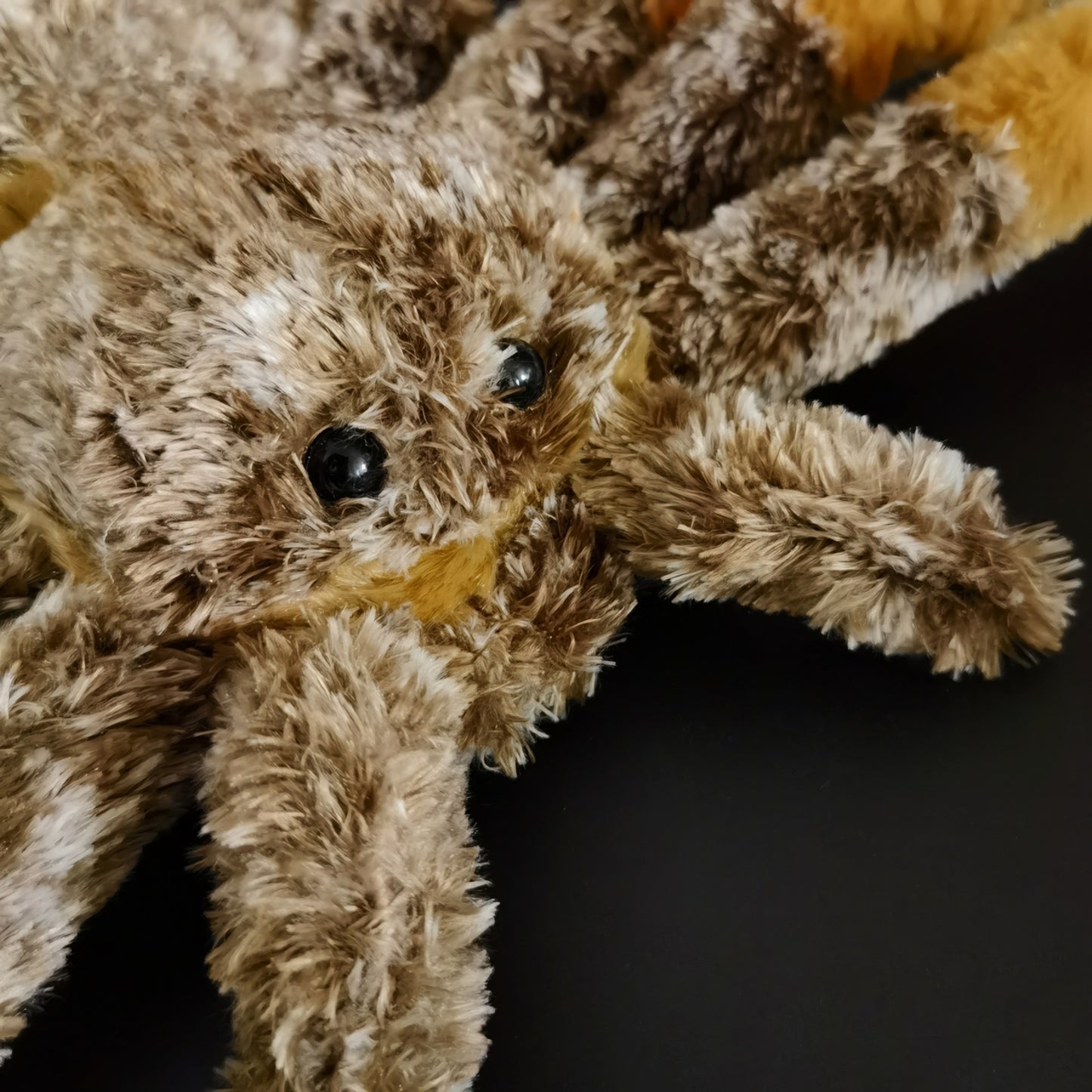 Realistic Goliath Tarantula Spider Plush