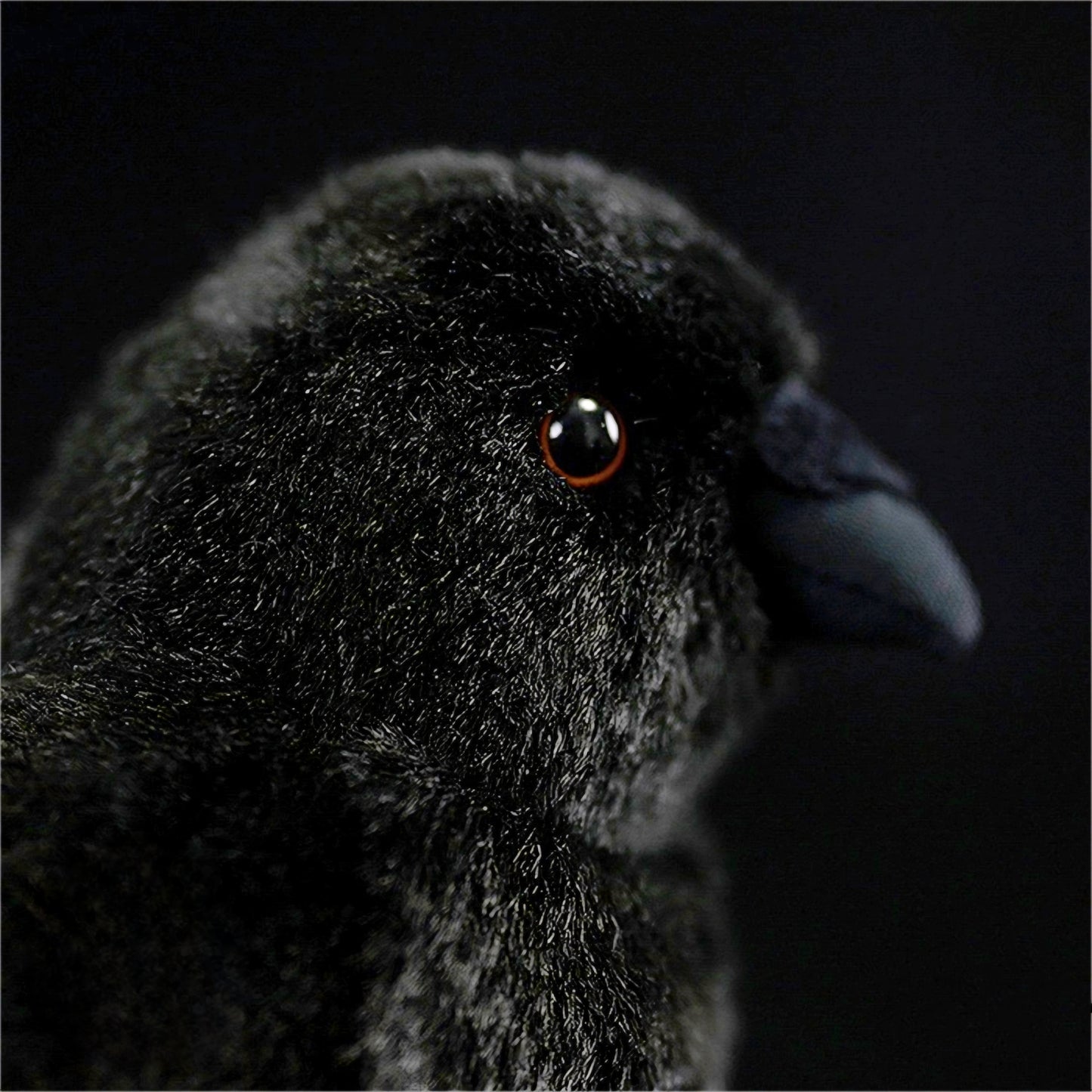 Realistic Raven Plush