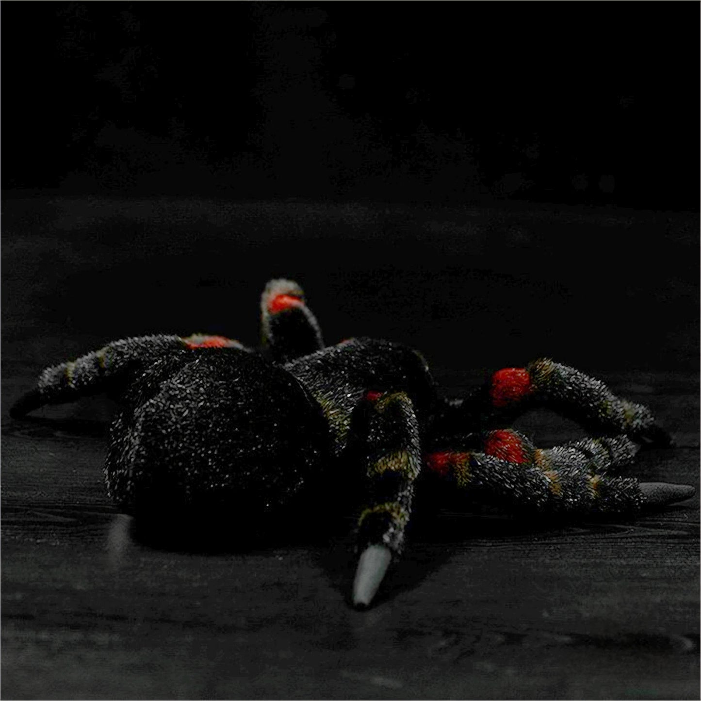 Realistic Tarantula Spider Plush