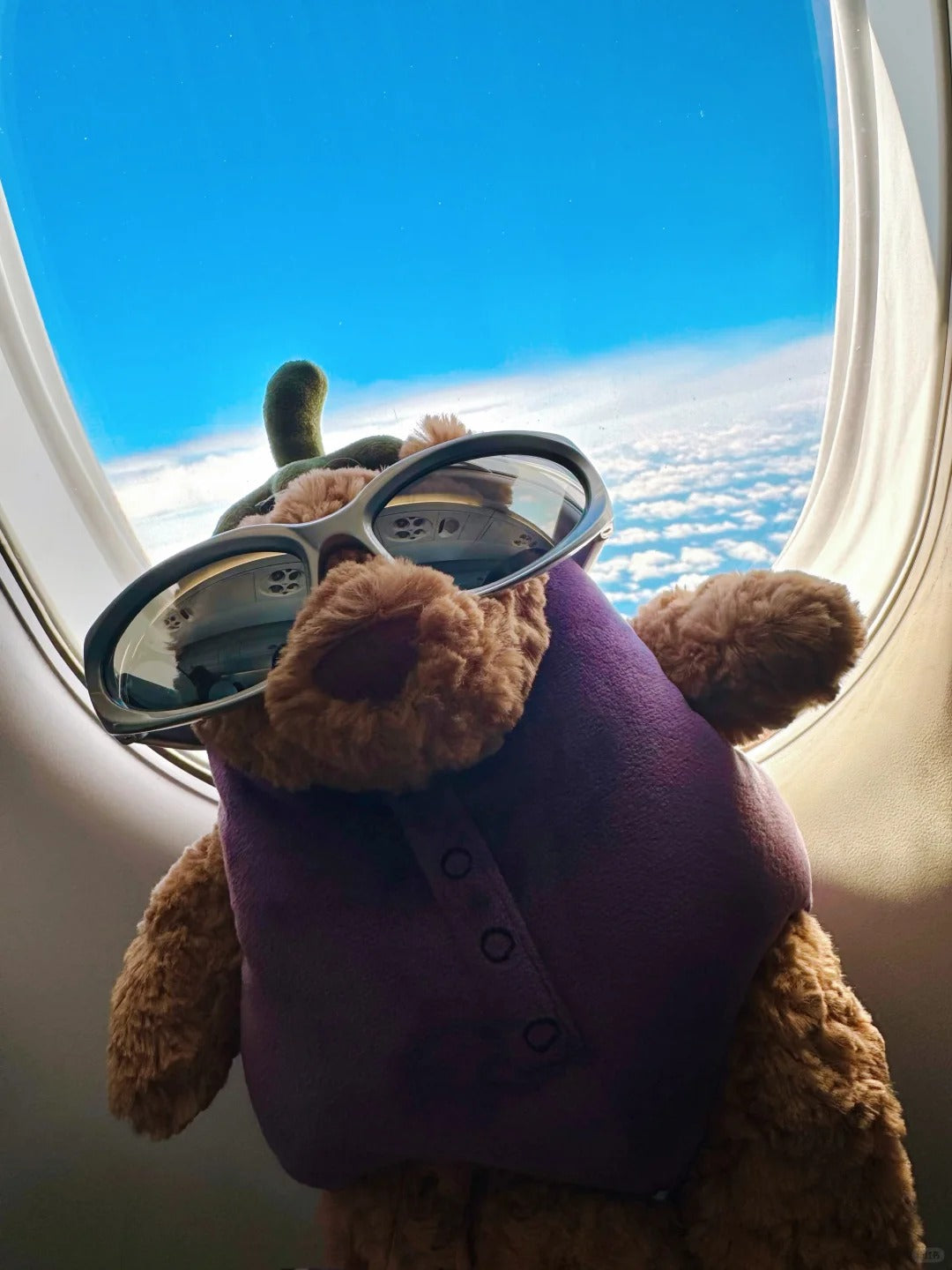 Fuzzy Eggplant Teddy Bear Plush