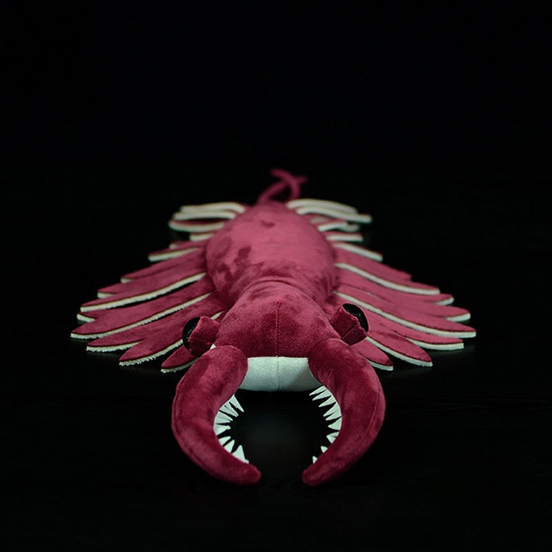Realistic Anomalocaris Plush