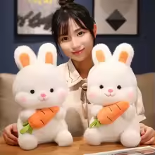 Fluffy Bunny With Carrot Plush