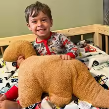 Large Dino Nugget Plush