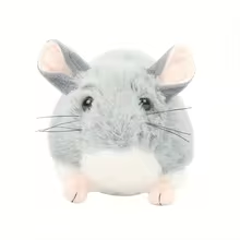 Cute Grey Chinchilla Plush