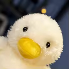 Cute White Fluffy Duck Plush