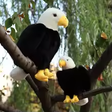 Lifelike Fluffy Eagle Plush
