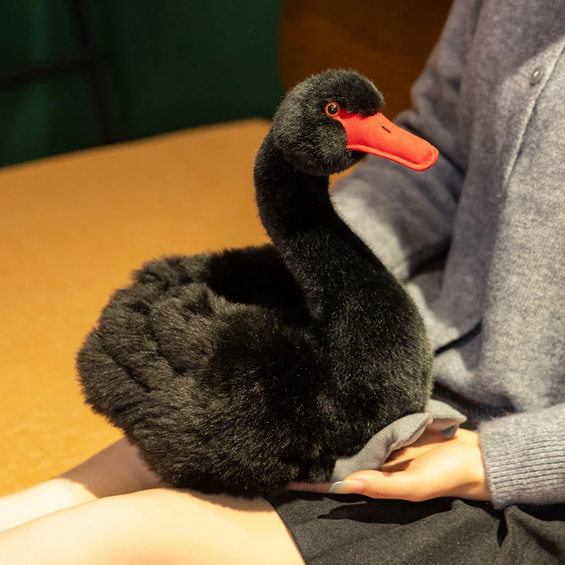 Fluffy Black Swan Plush