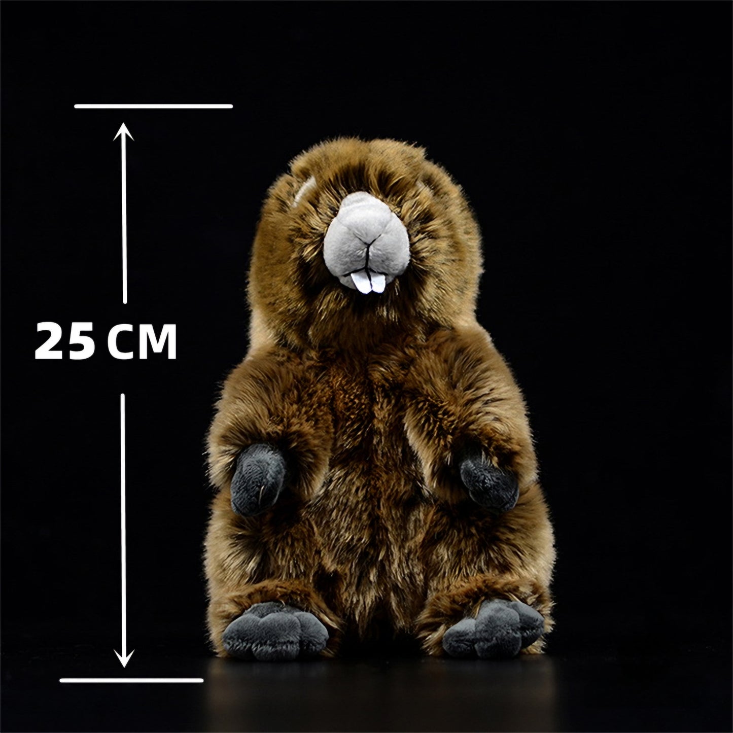 Realistic Fluffy Marmot Plush