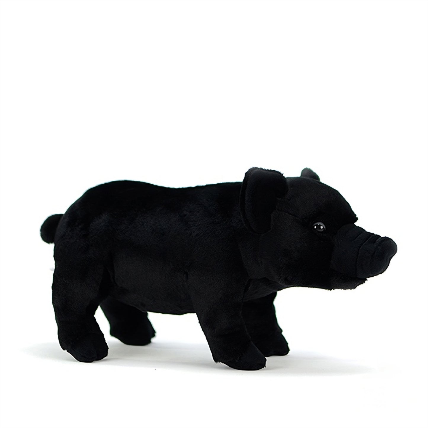 Realistic Black Pig Plush