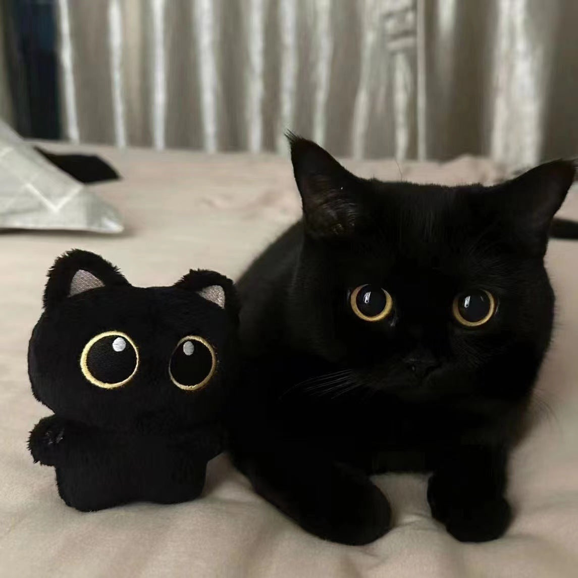 Cute Kawaii Black Cat Plushie