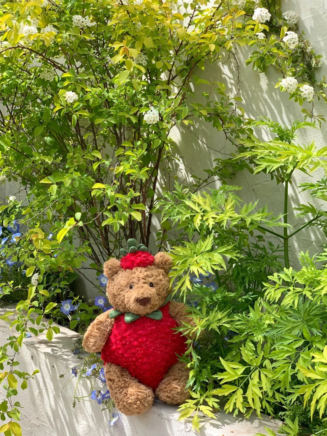 Fuzzy Strawberry ateddy Bear Plushie