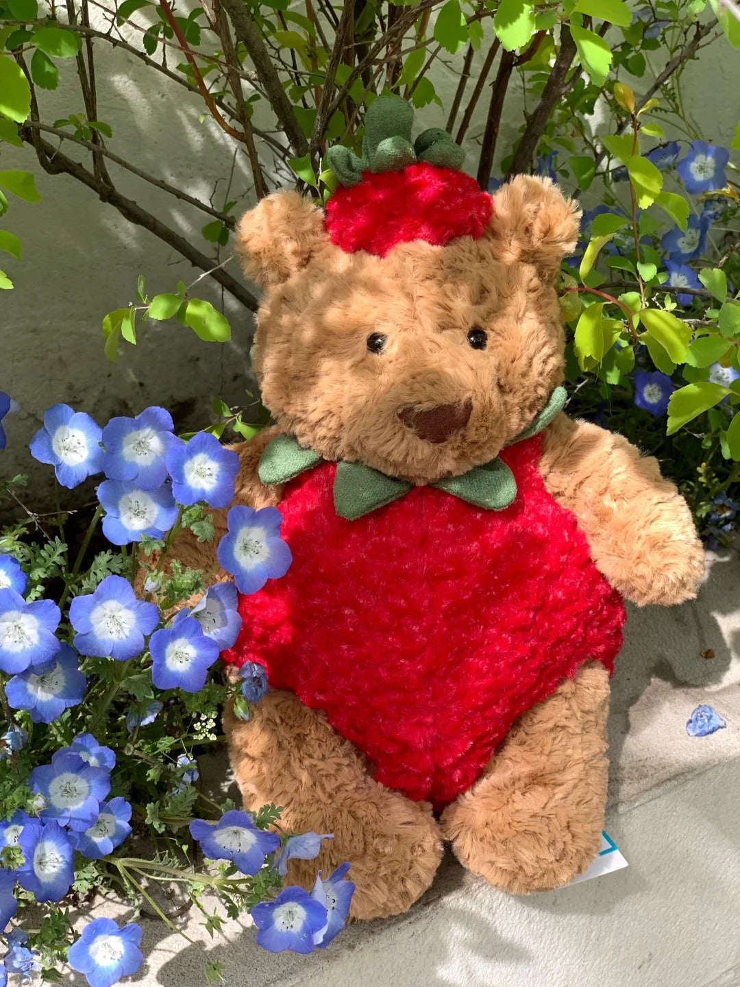 Fuzzy Strawberry ateddy Bear Plushie