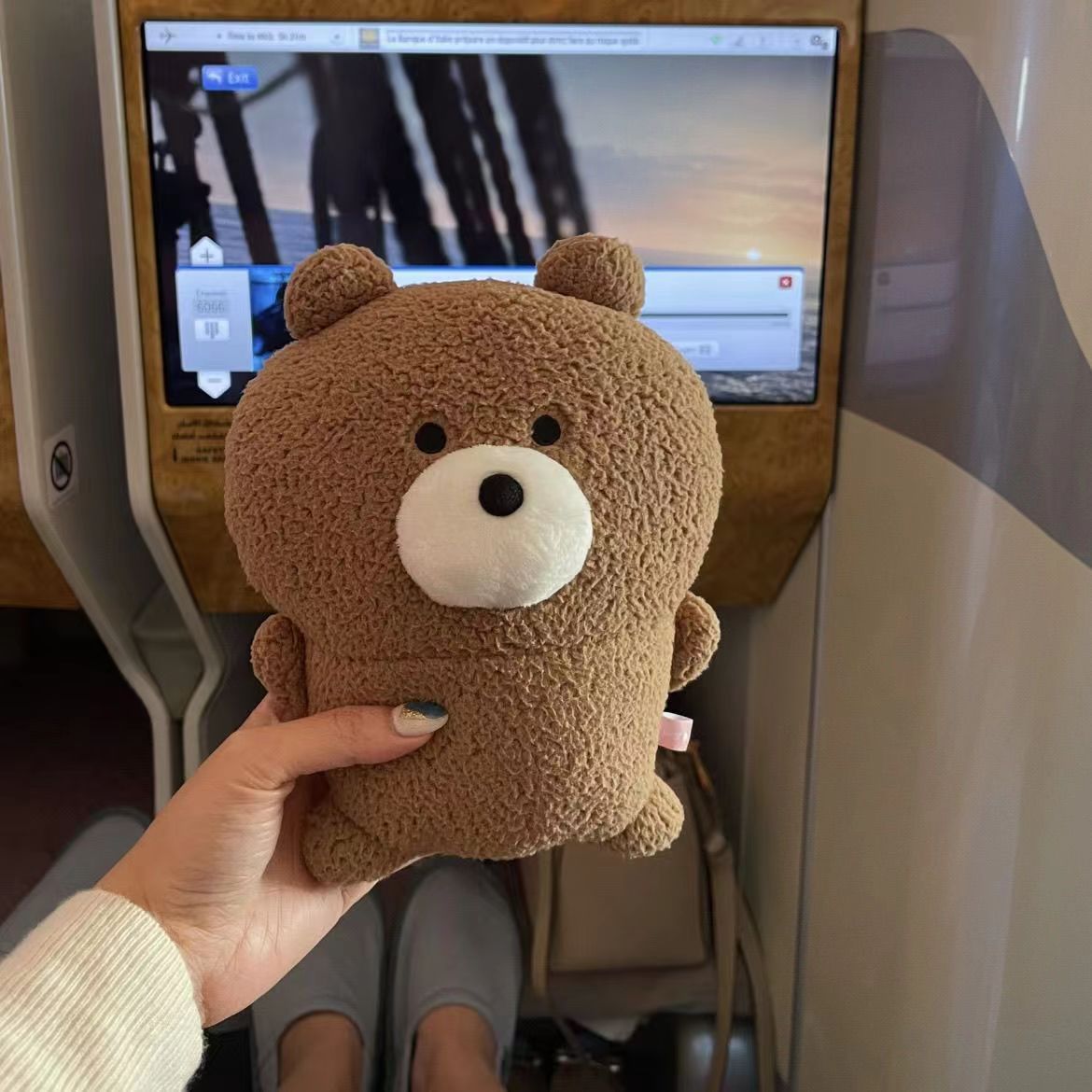 Fuzzy Teddy Bear Plush