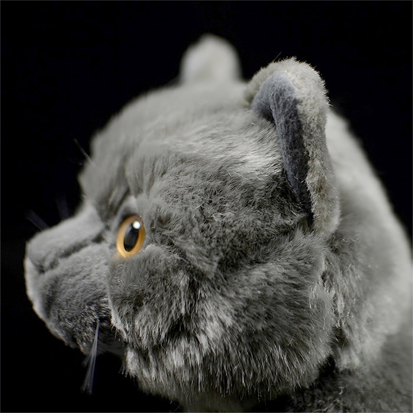 Realistic British Shorthair Cat Plush