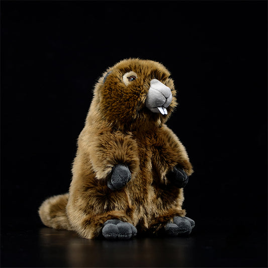 Realistic Fluffy Marmot Plush