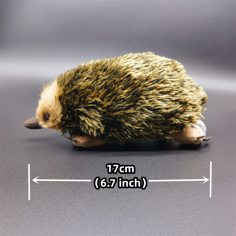 Realistic Echidna Plush