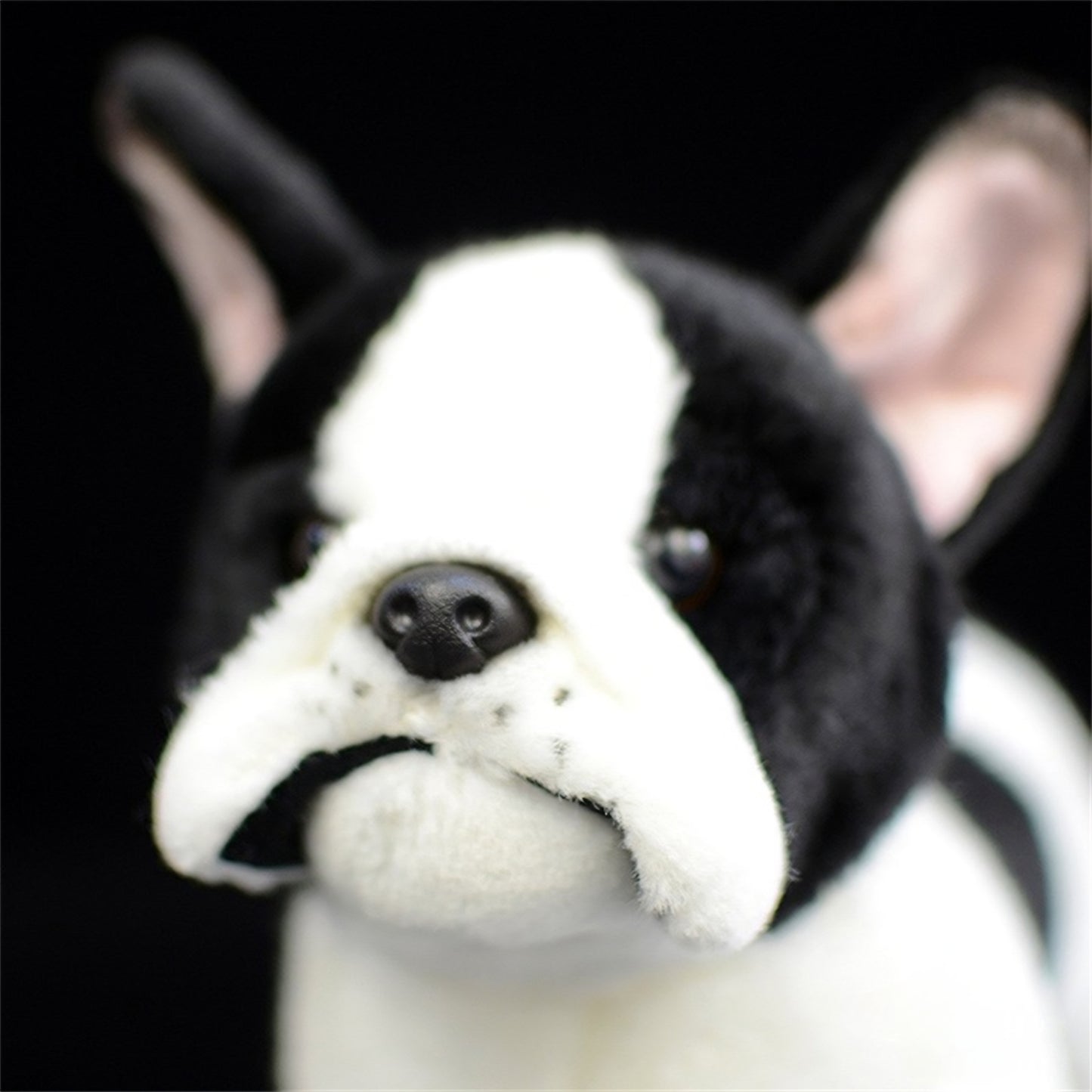 Realistic Black & White  French Bulldog Plush