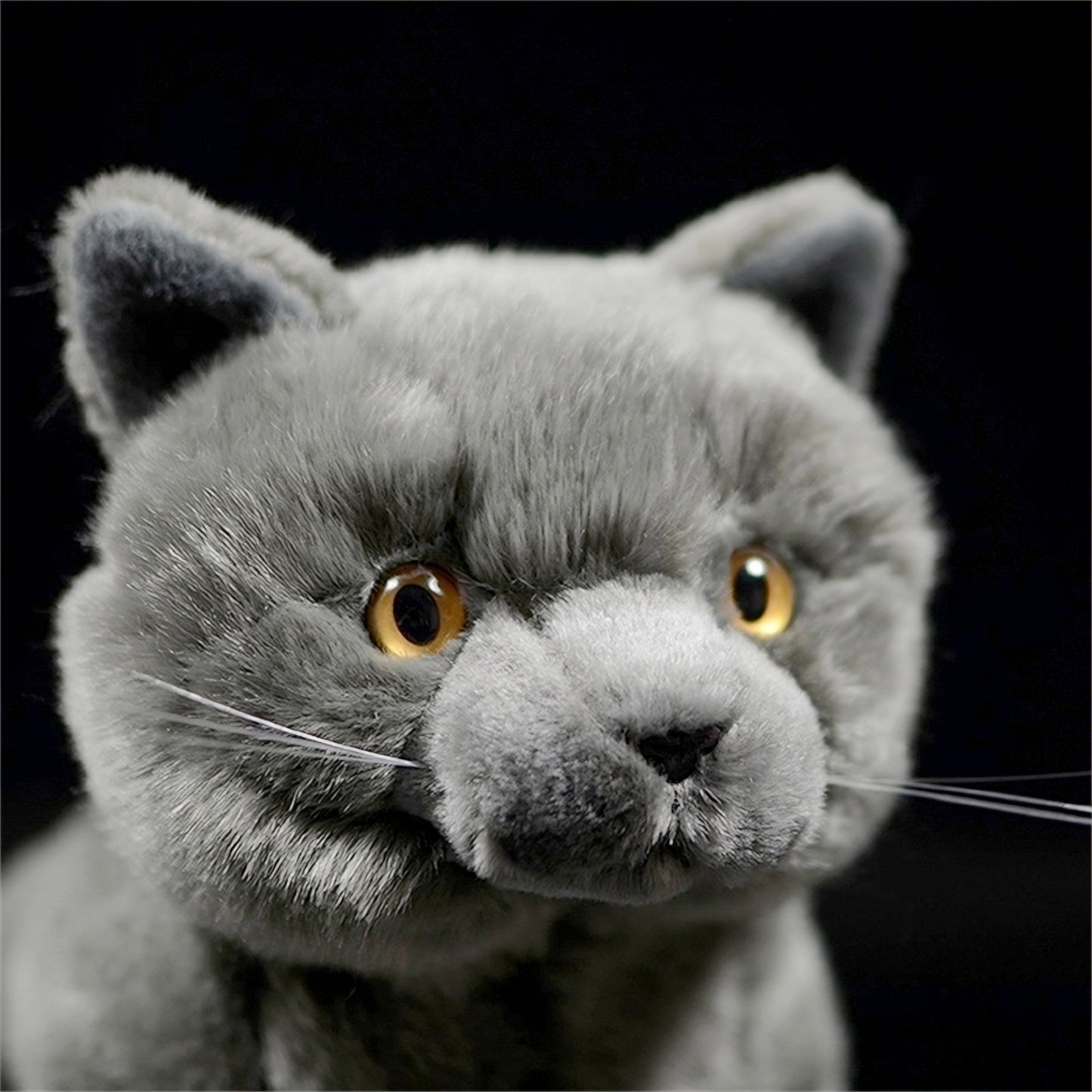 Realistic British Shorthair Cat Plush