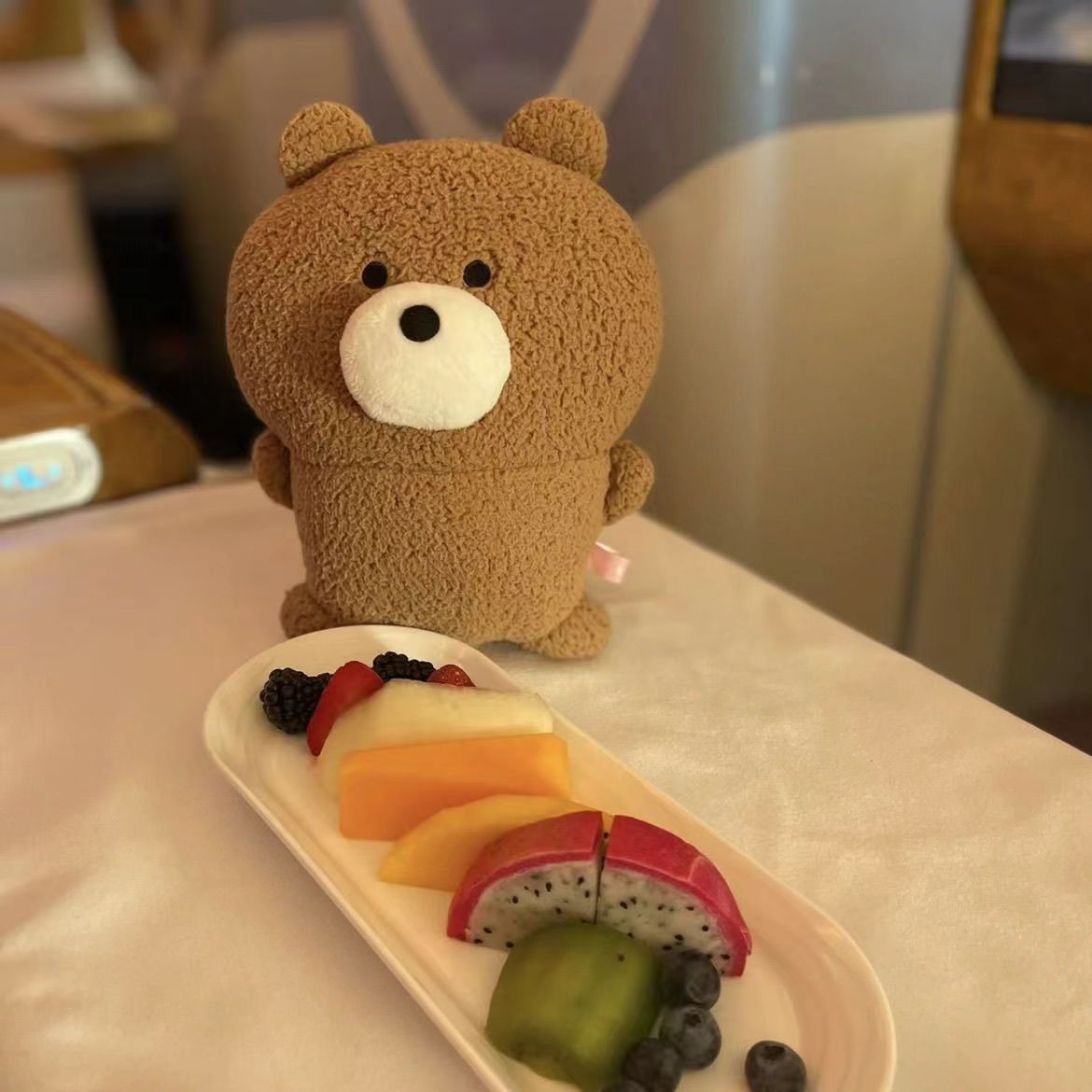 Fuzzy Teddy Bear Plush