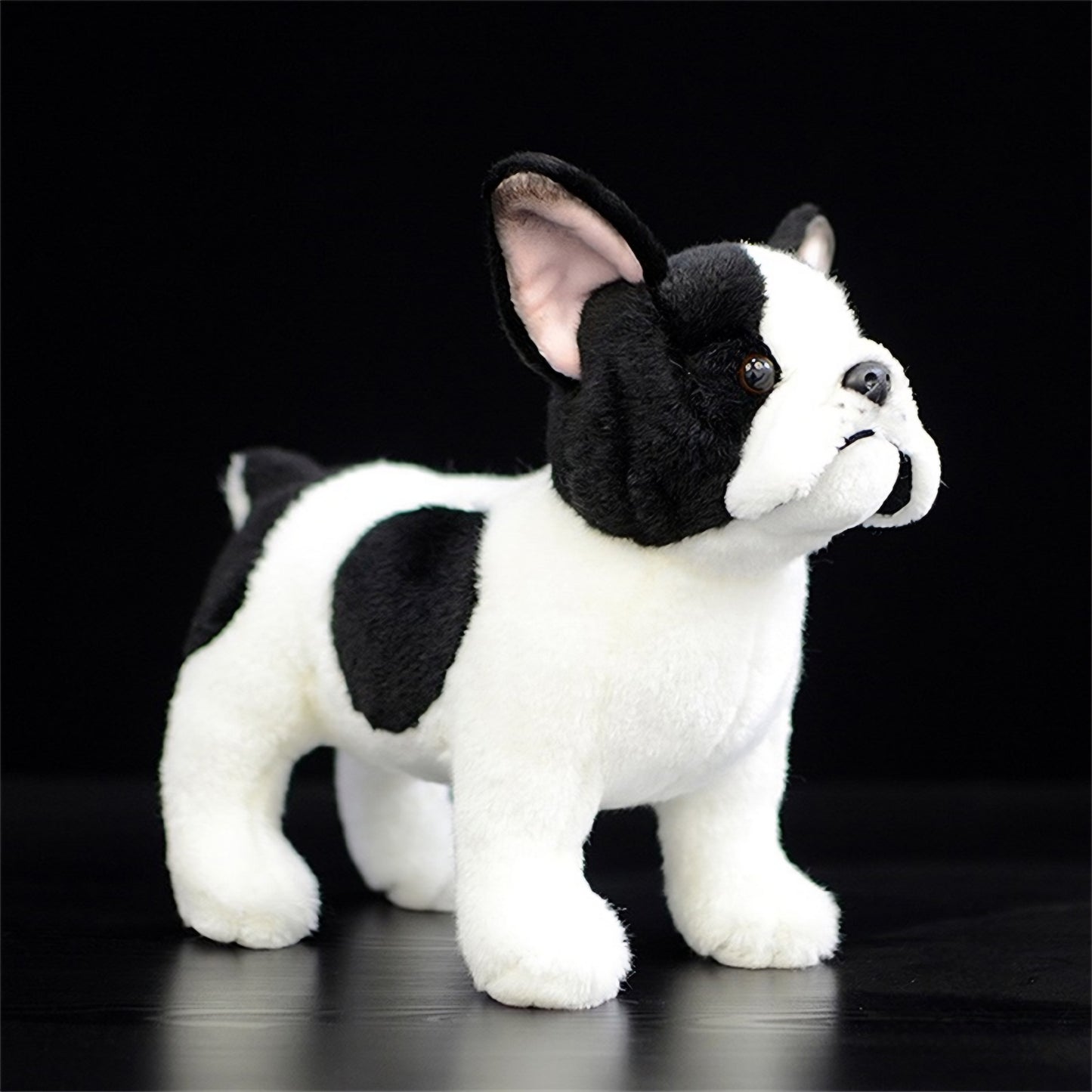 Realistic Black & White  French Bulldog Plush