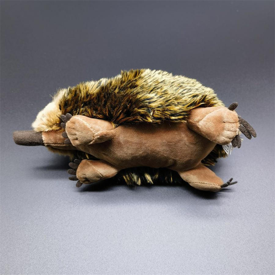 Realistic Echidna Plush