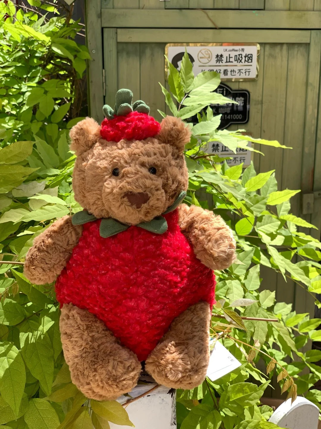 Fuzzy Strawberry ateddy Bear Plushie