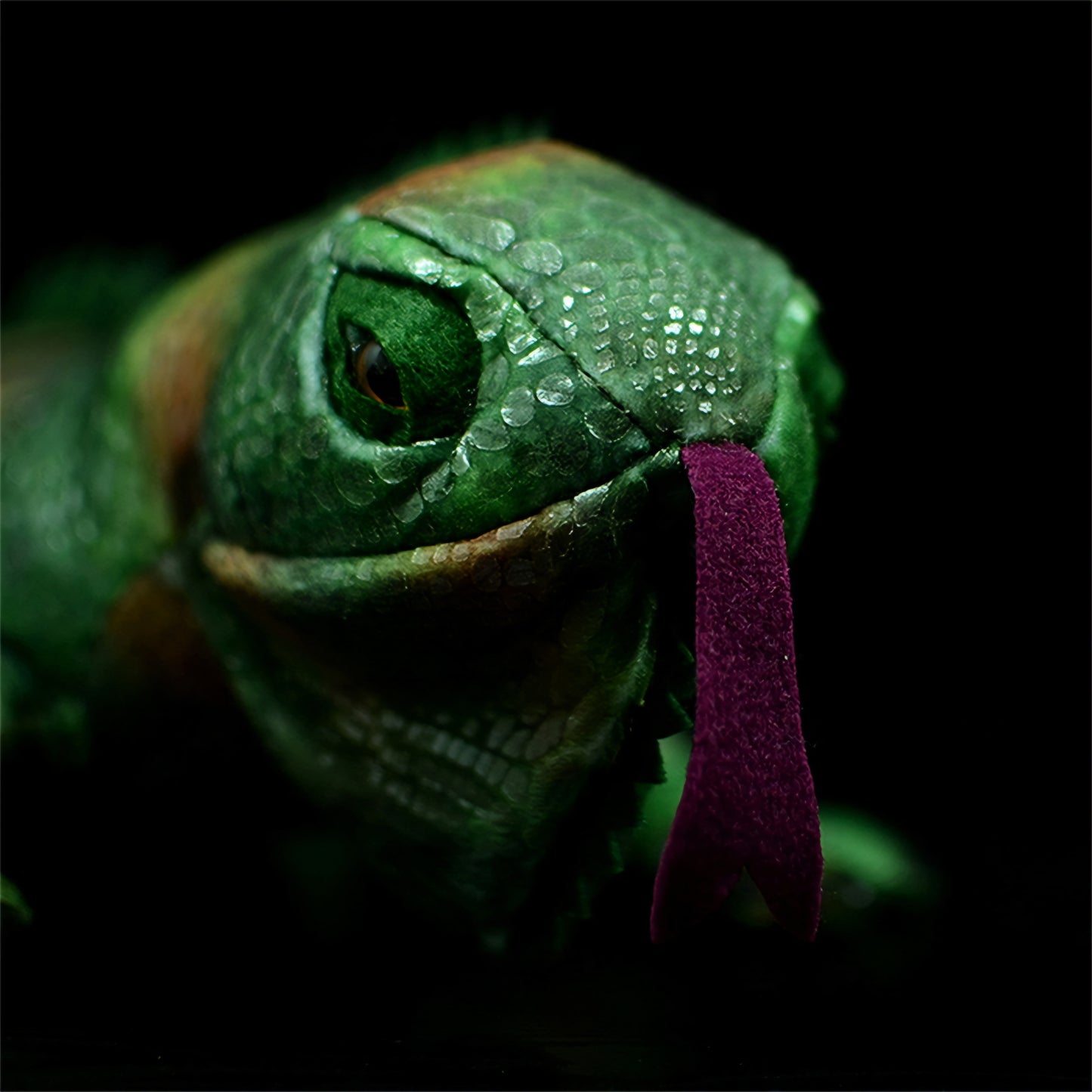 Realistic Iguana Plush