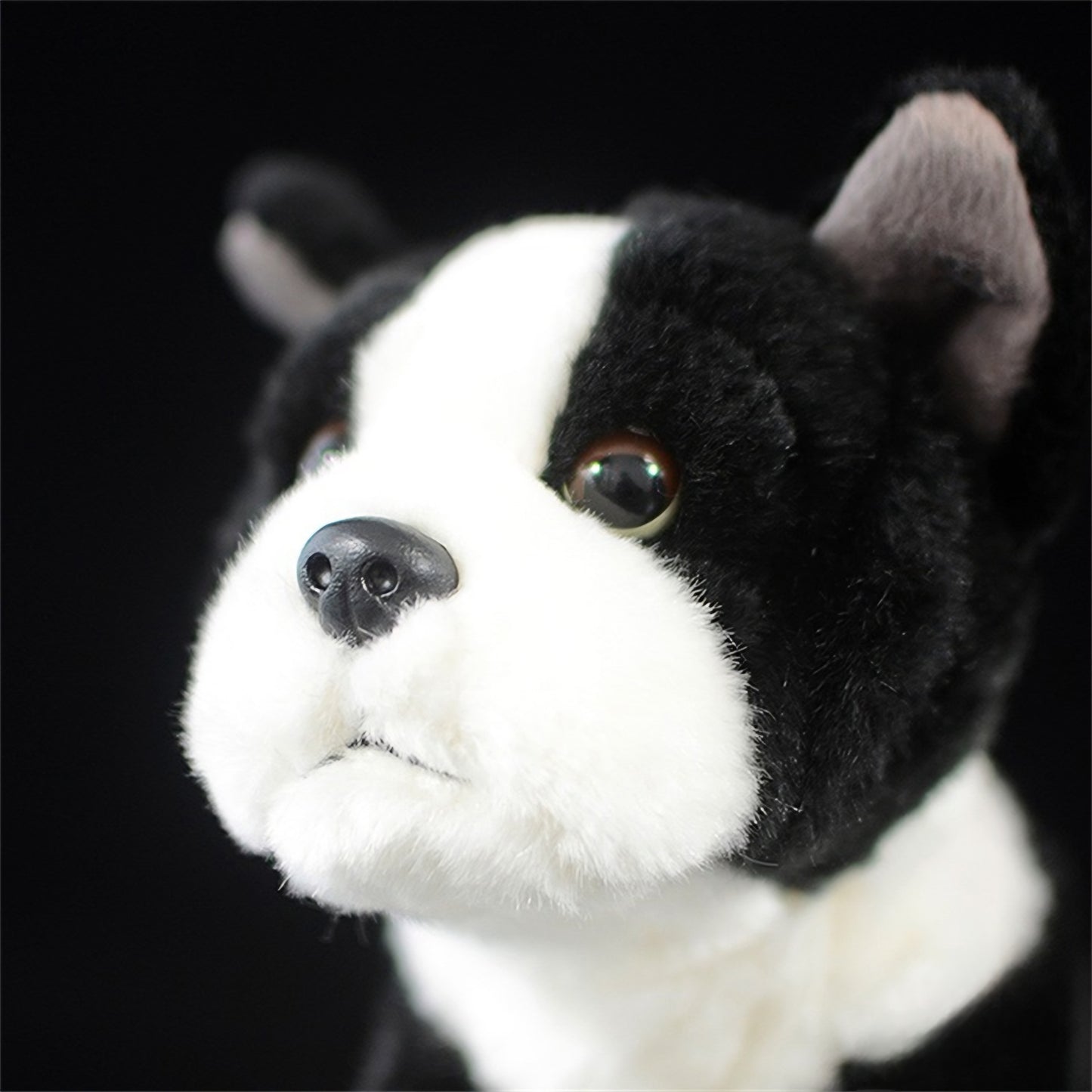 Realistic Boston Terrier Puppy Plush