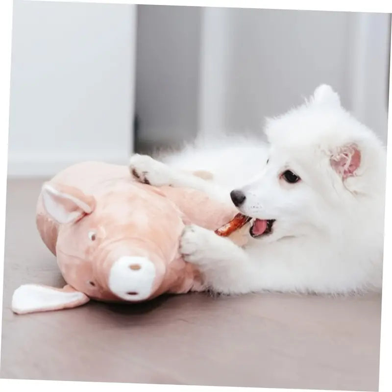 Cute Piggy Dog Plush Toy