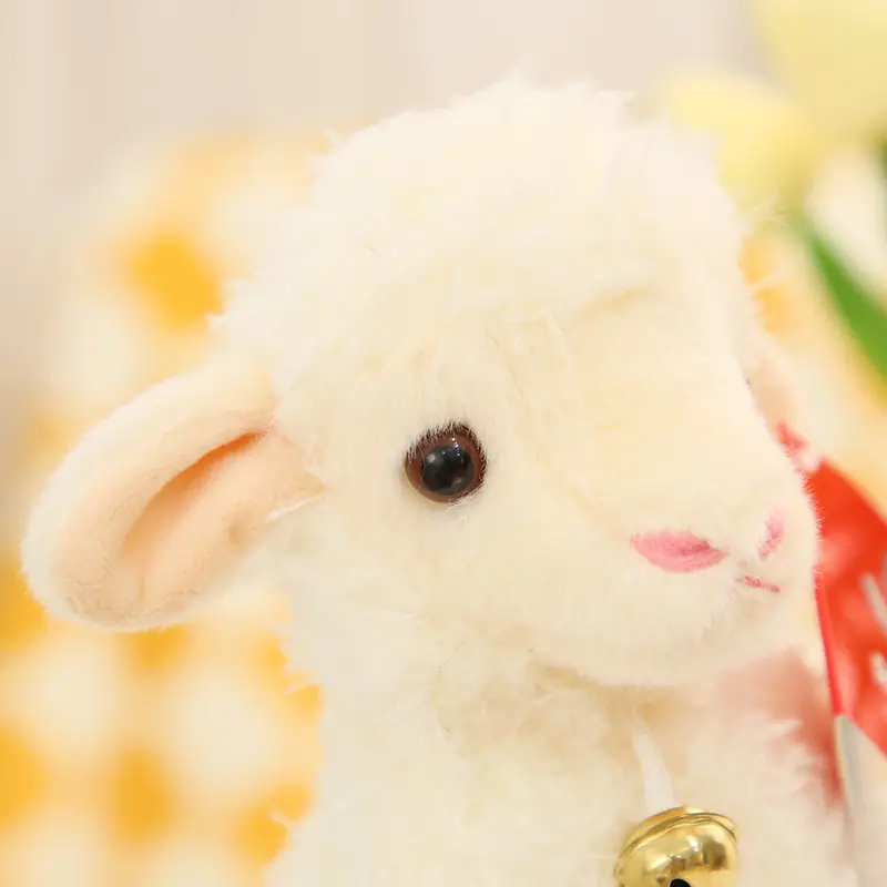Adorable Fluffy Lamb