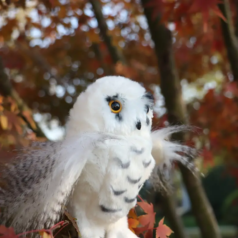 Fluffy Owl Plush