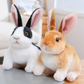 Cute Rabbit Plush