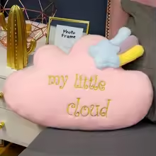 Affection Pink Cloud Plush