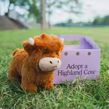 Cute Fuzzy Highland Cow Plush