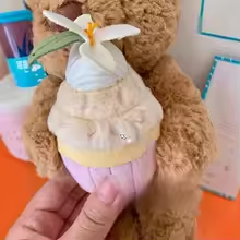 Teddy Bear With Cupcake Plush