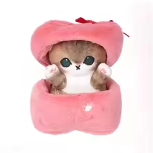 Adorable Cat In Heart Box