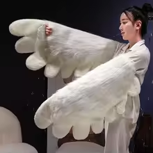 Fluffy White Wings