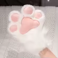 Fluffy White Paws