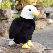 Lifelike Fluffy Eagle Plush