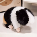 Fluffy Black & White Guinea Pig