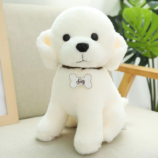 Cute White Bichon Plus