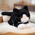 Fluffy Kawaii Black Kitten Plush