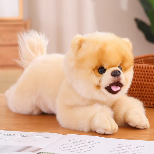 Cute & Fluffy Pomeranian Plush