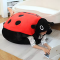 Big Ladybug Pillow Costume Plush