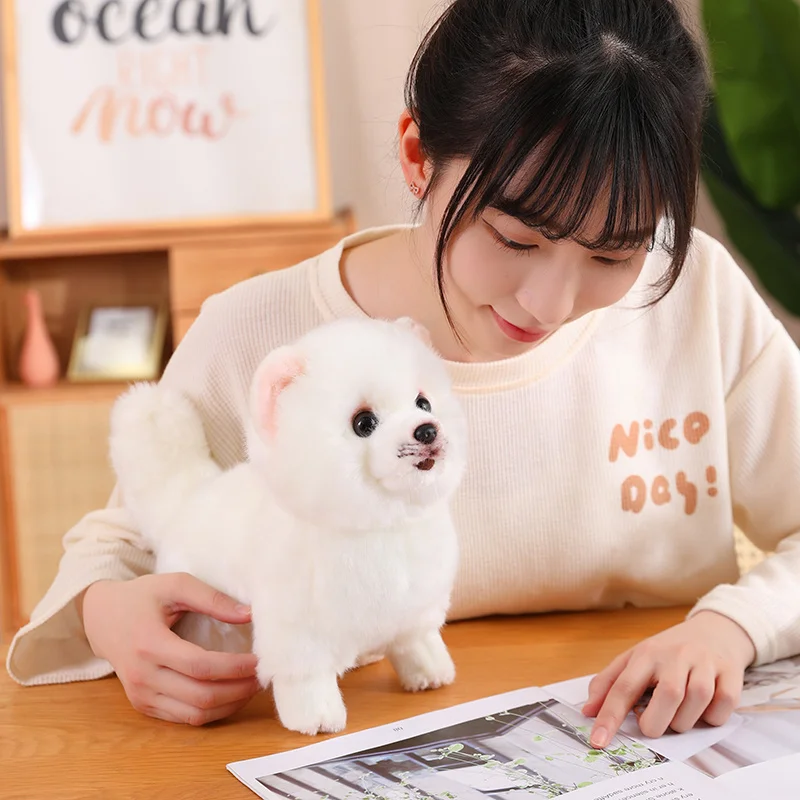 Adorable Fluffy White Pomeranian Plush