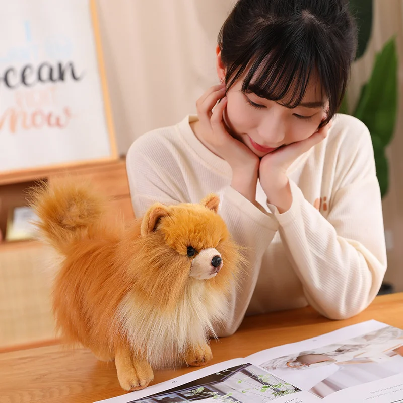 Adorable Fluffy Brown Pomeranian Plush