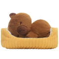 Sleeping Capybara With Bed Plush